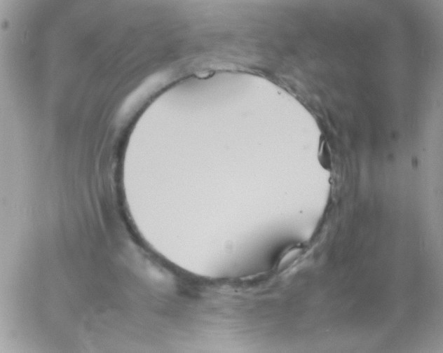 X0000064040197200602242329