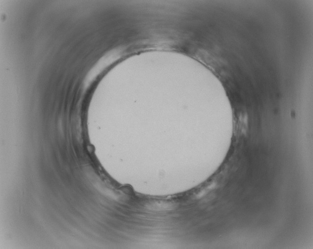 X0000064040198200602242329