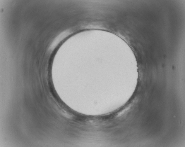 X0000064040199200602242329