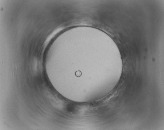 X0000064040200200602242329