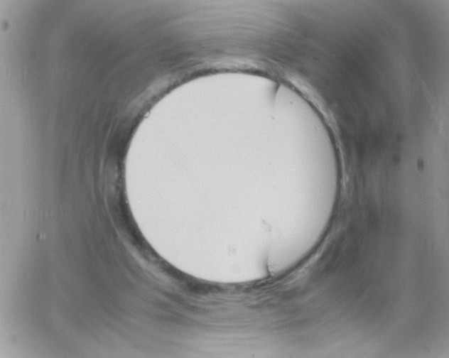 X0000064040201200602242329