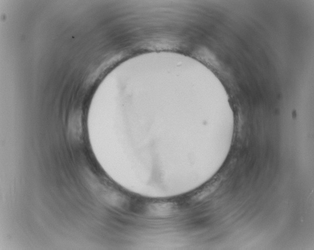 X0000064040202200602242329