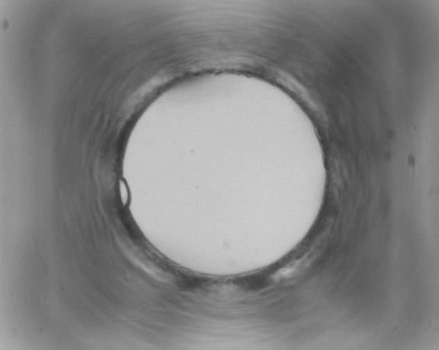 X0000064040203200602242329