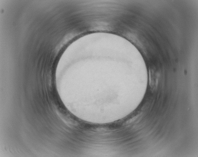 X0000064040204200602242329