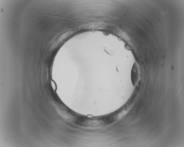 X0000064040205200602242329