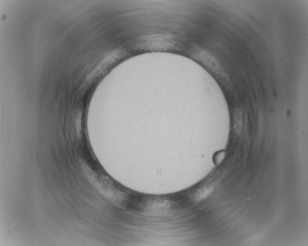 X0000064040206200602242329