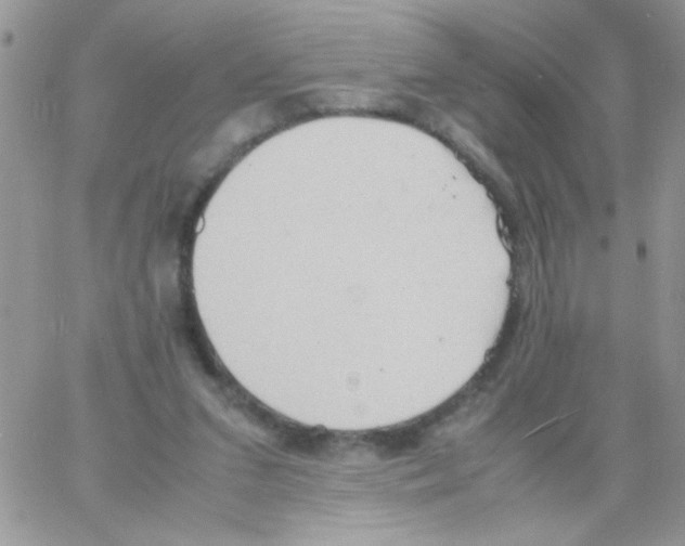 X0000064040207200602242329