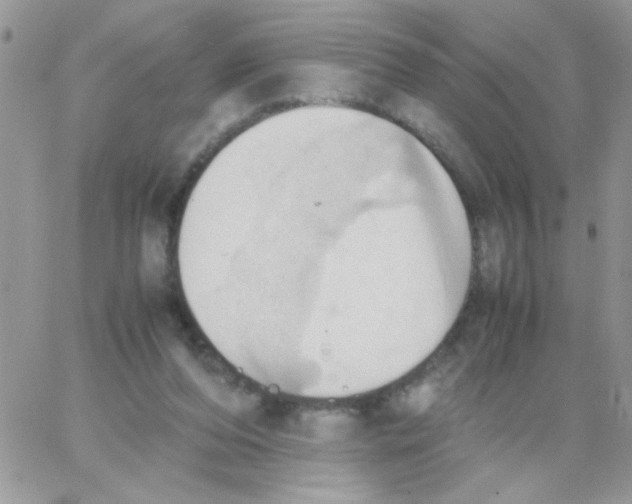 X0000064040208200602242329