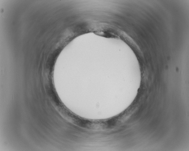 X0000064040209200602242329