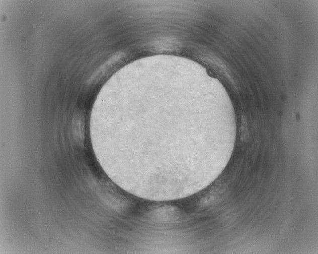 X0000064040210200602242329