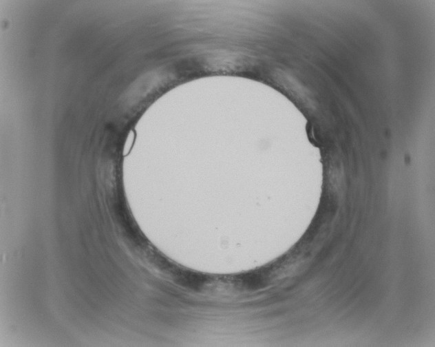 X0000064040211200602242329