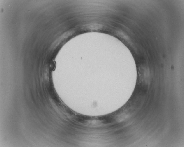 X0000064040212200602242329