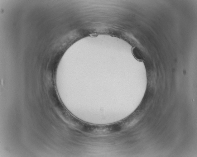 X0000064040213200602242329