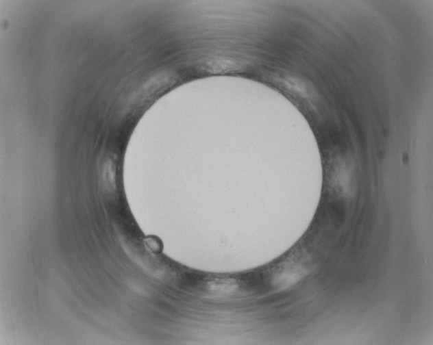 X0000064040214200602242329