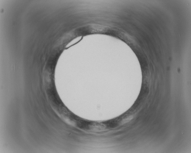 X0000064040215200602242329