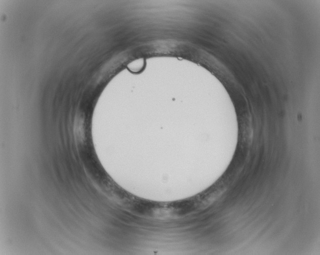 X0000064040216200602242329