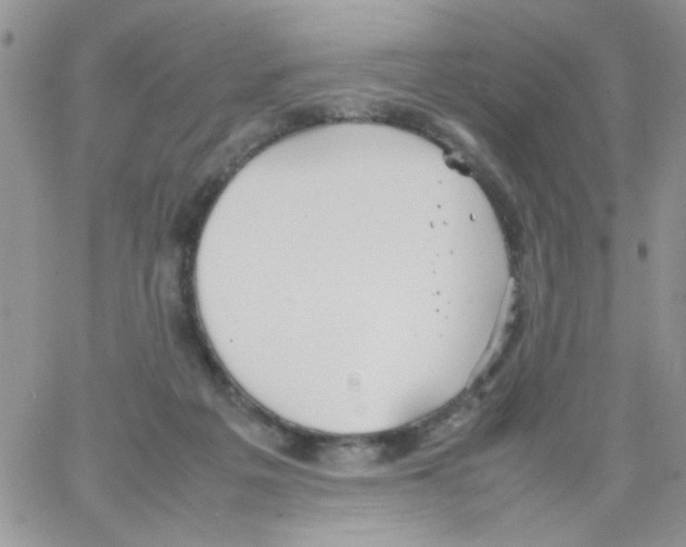 X0000064040217200602242329