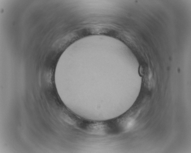 X0000064040219200602242328