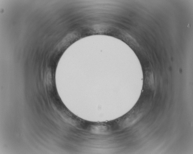 X0000064040220200602242328