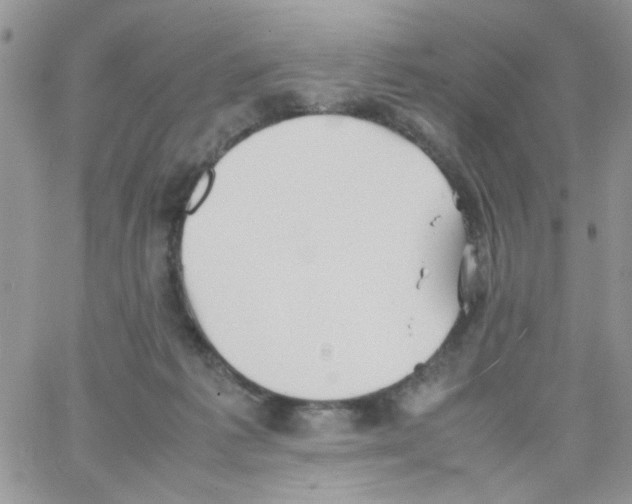 X0000064040221200602242328