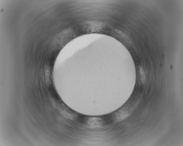 X0000064040222200602242328