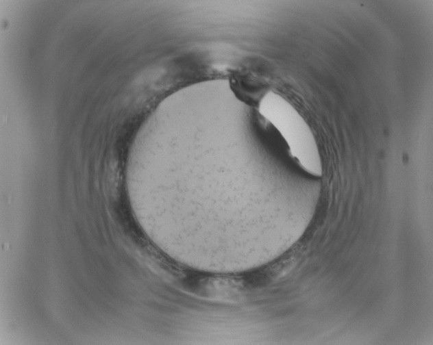 X0000064040223200602242328