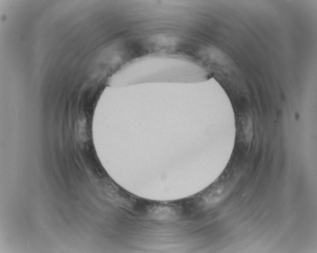 X0000064040224200602242328