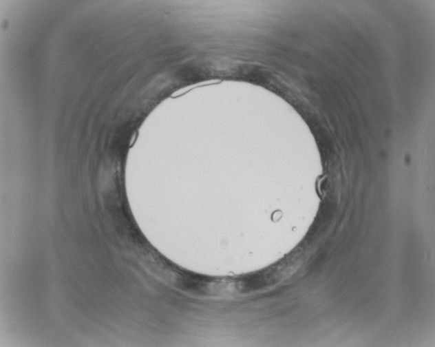 X0000064040225200602242328