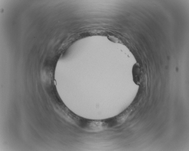 X0000064040227200602242328