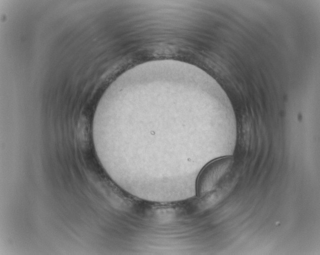 X0000064040228200602242328