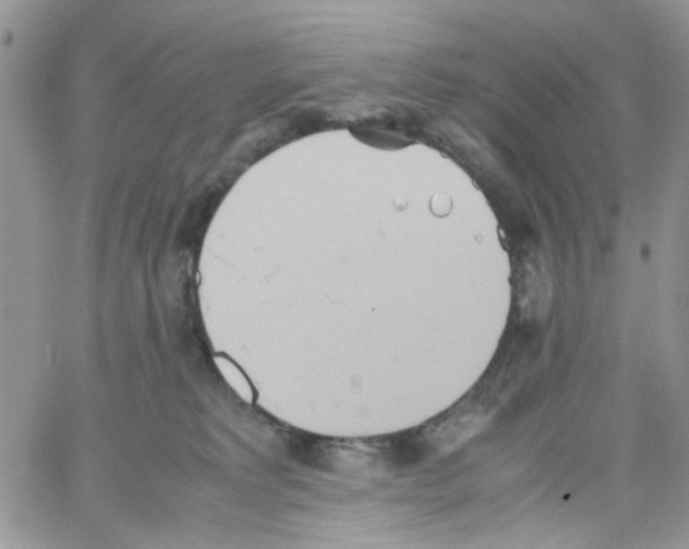 X0000064040229200602242328