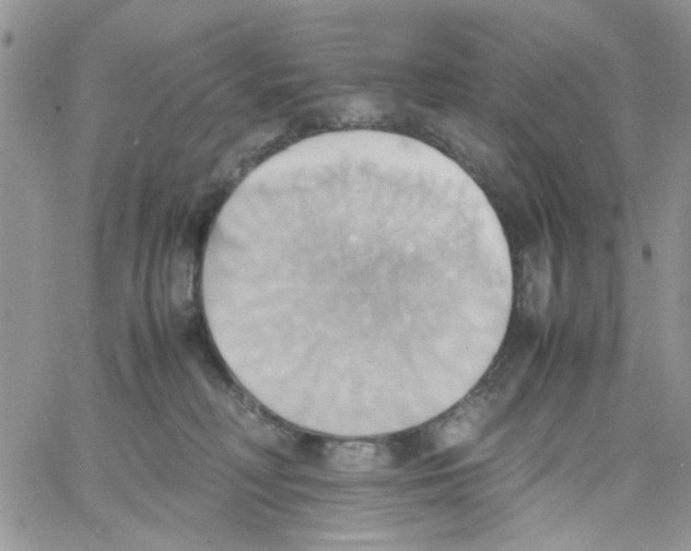 X0000064040230200602242328