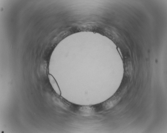 X0000064040231200602242328