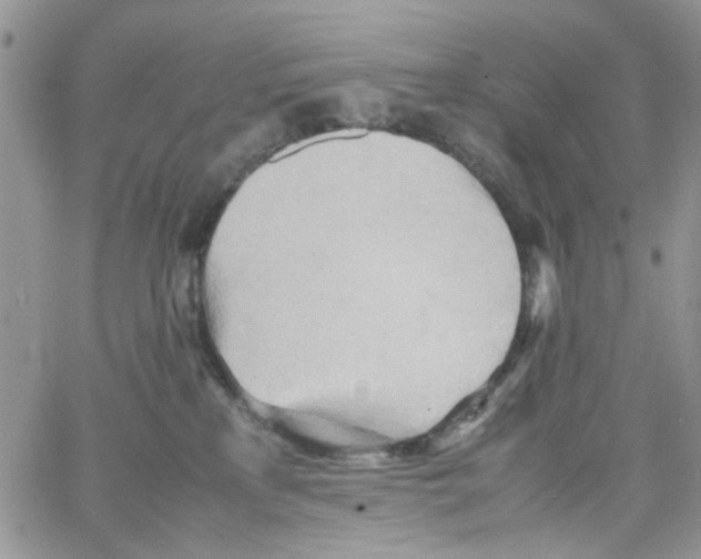 X0000064040233200602242328