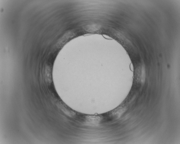 X0000064040234200602242328