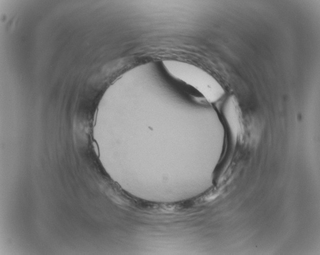 X0000064040235200602242328