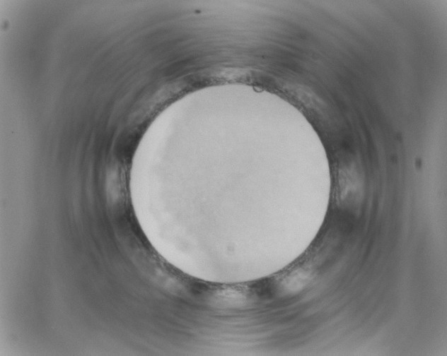 X0000064040236200602242328