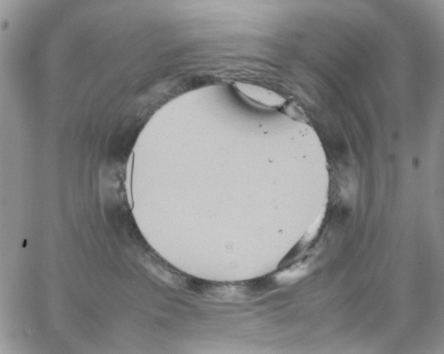 X0000064040237200602242328