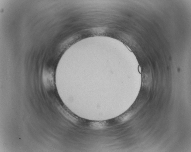 X0000064040238200602242328