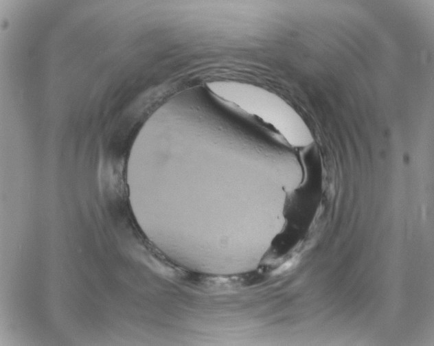 X0000064040239200602242328