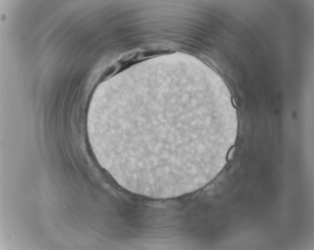 X0000064040241200602242327