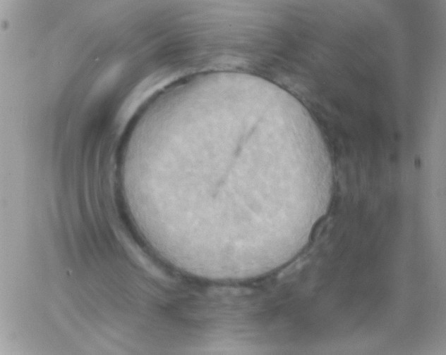 X0000064040242200602242327