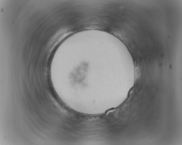 X0000064040243200602242327