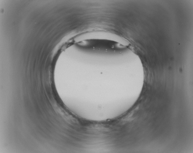 X0000064040244200602242327