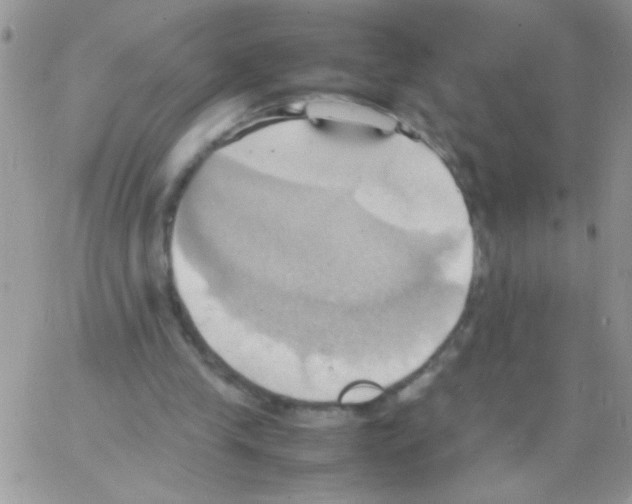 X0000064040245200602242327