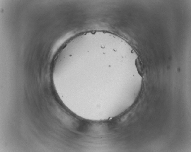 X0000064040248200602242327