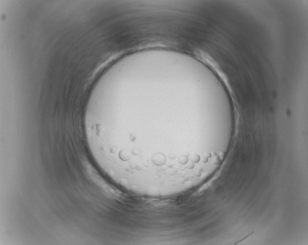 X0000064040249200602242328