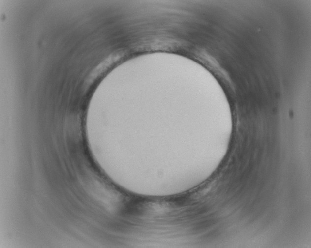 X0000064040250200602242328