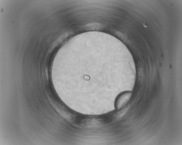 X0000064040254200602242328