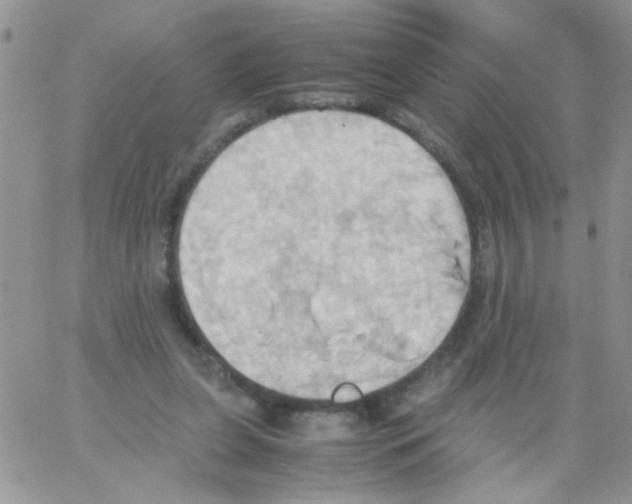 X0000064040255200602242328